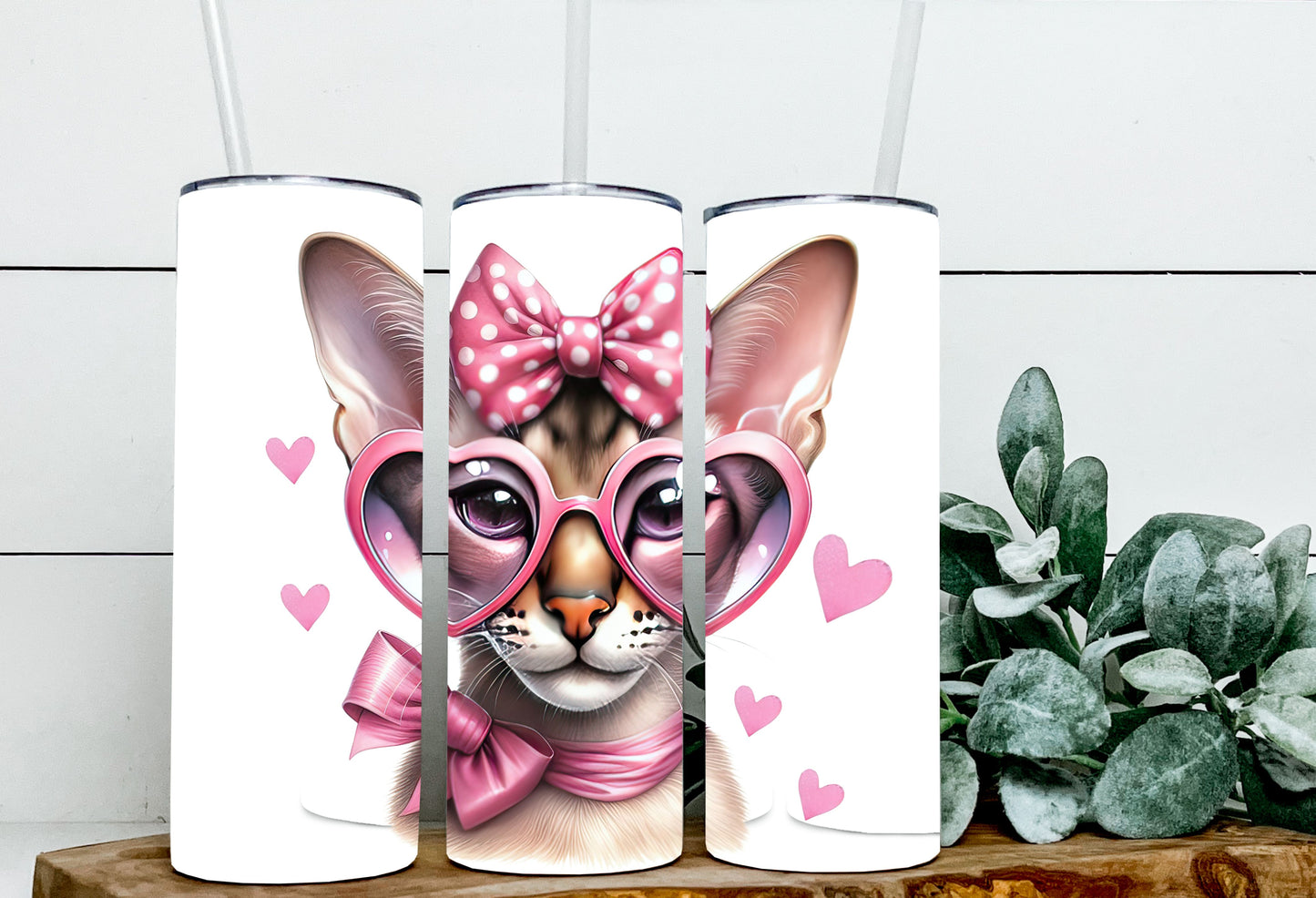 Valentine Cats