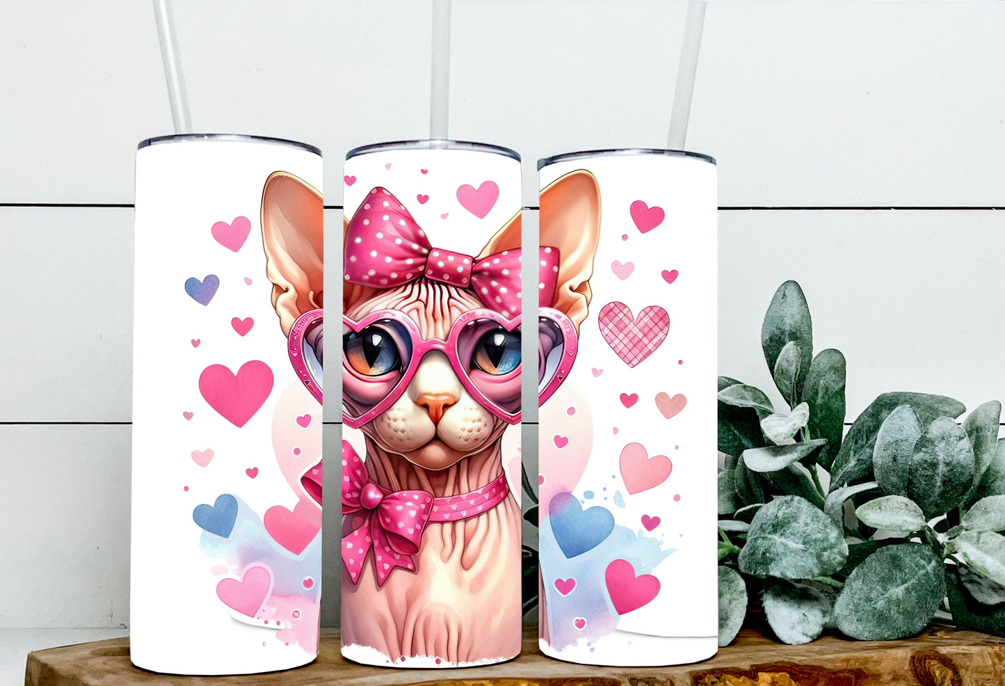 Valentine Cats