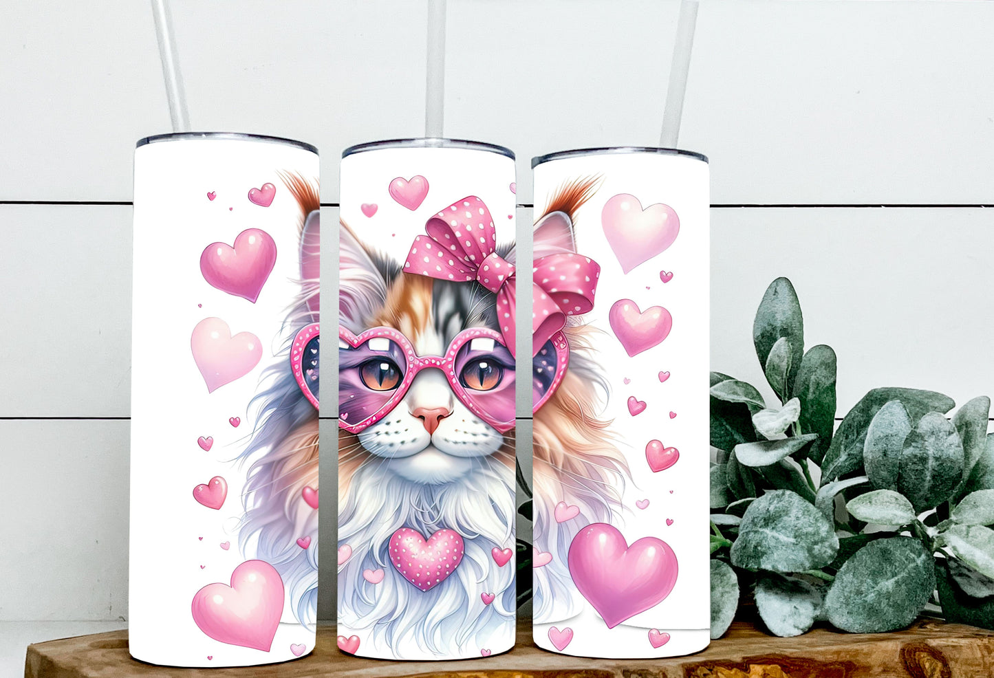 Valentine Cats