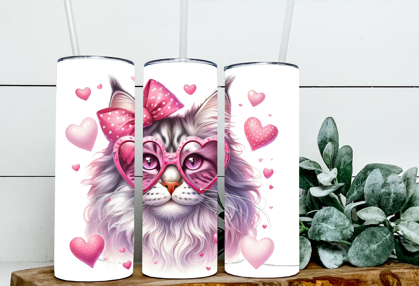 Valentine Cats