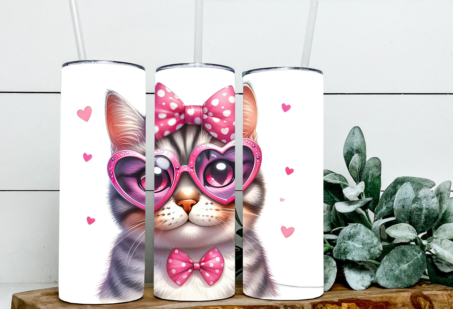 Valentine Cats