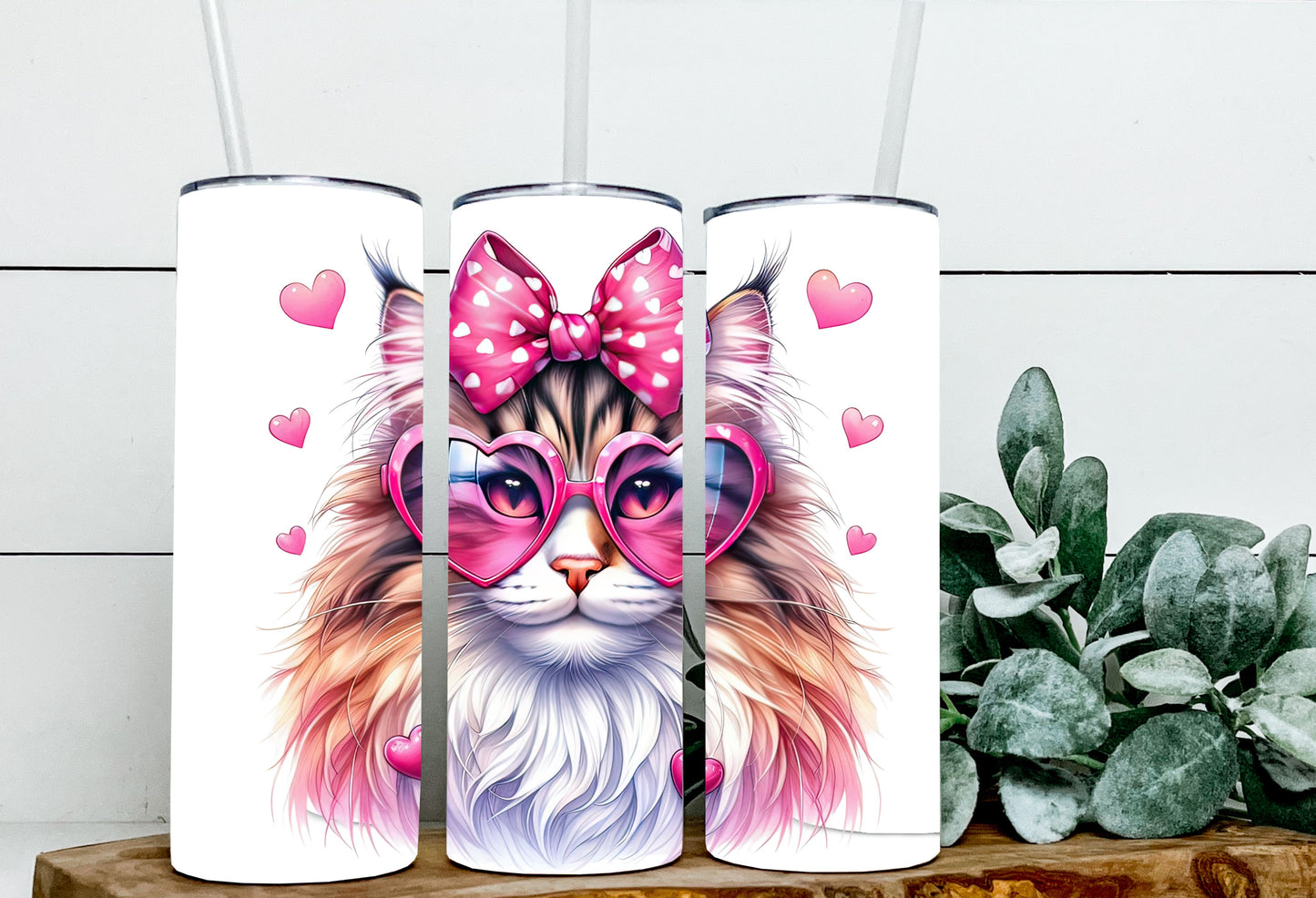Valentine Cats