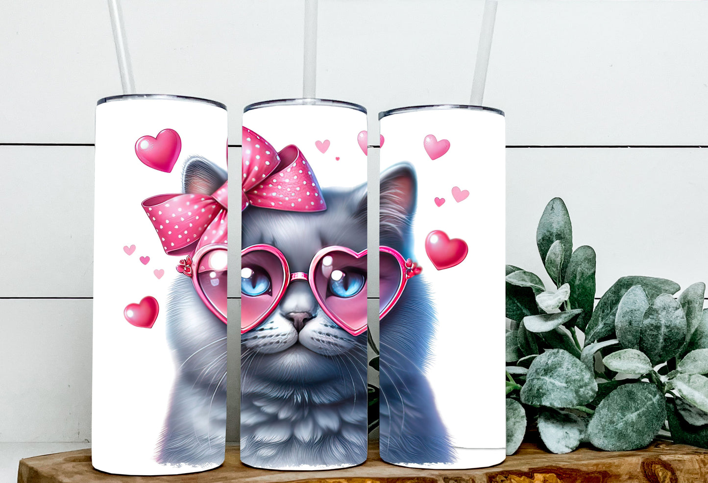 Valentine Cats