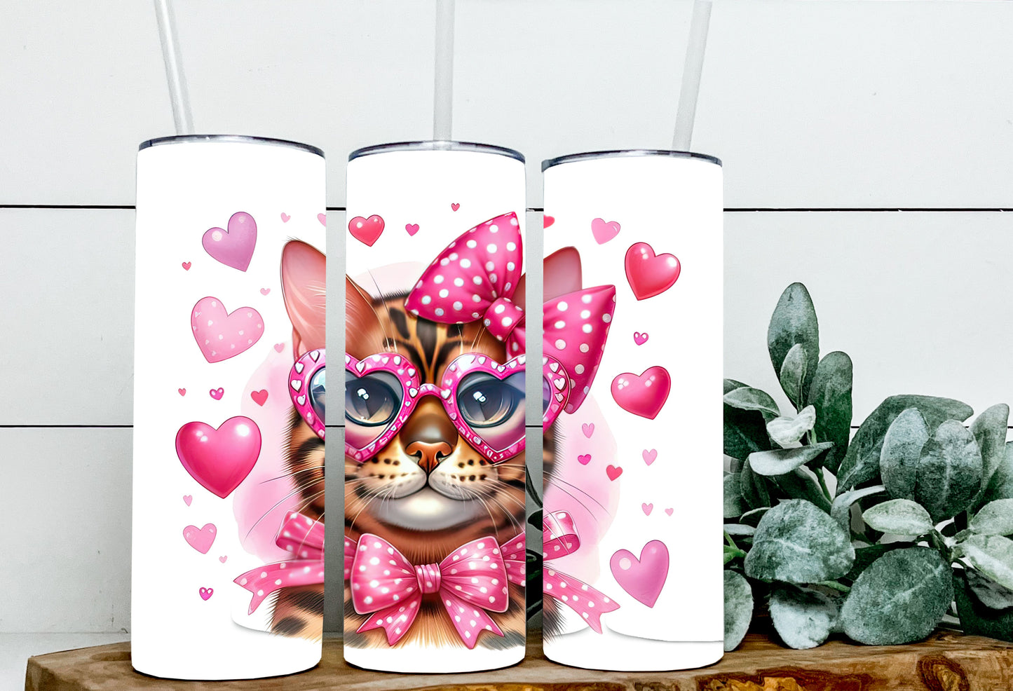 Valentine Cats