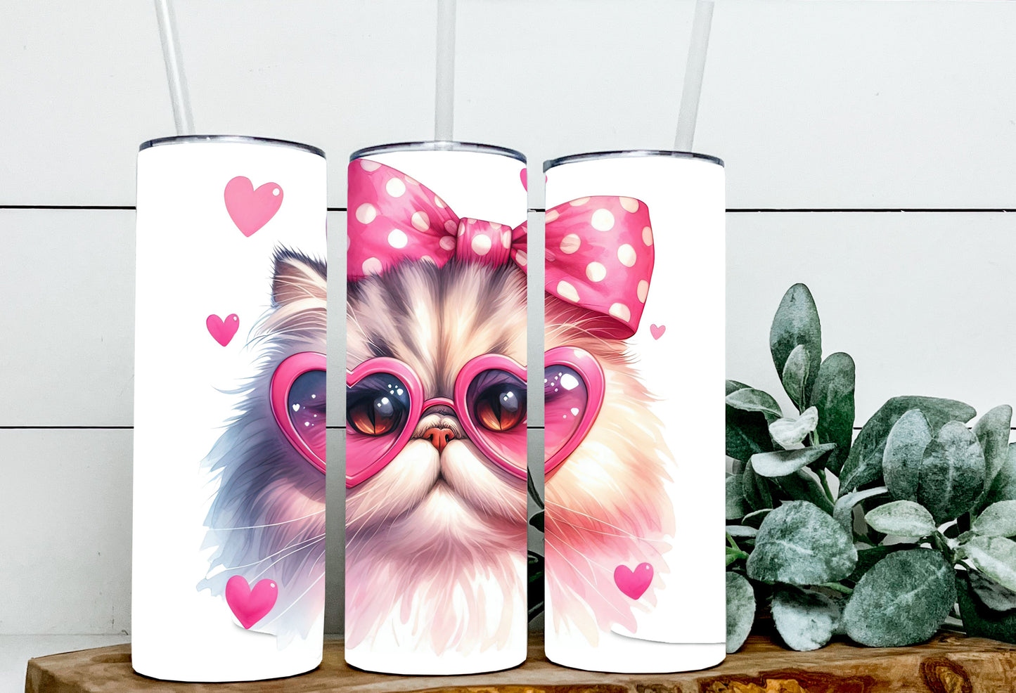 Valentine Cats