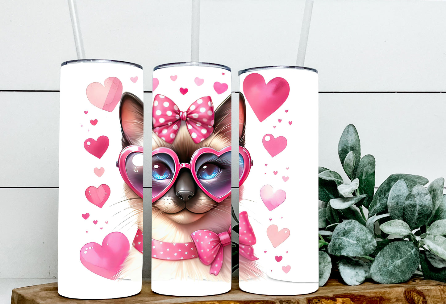 Valentine Cats
