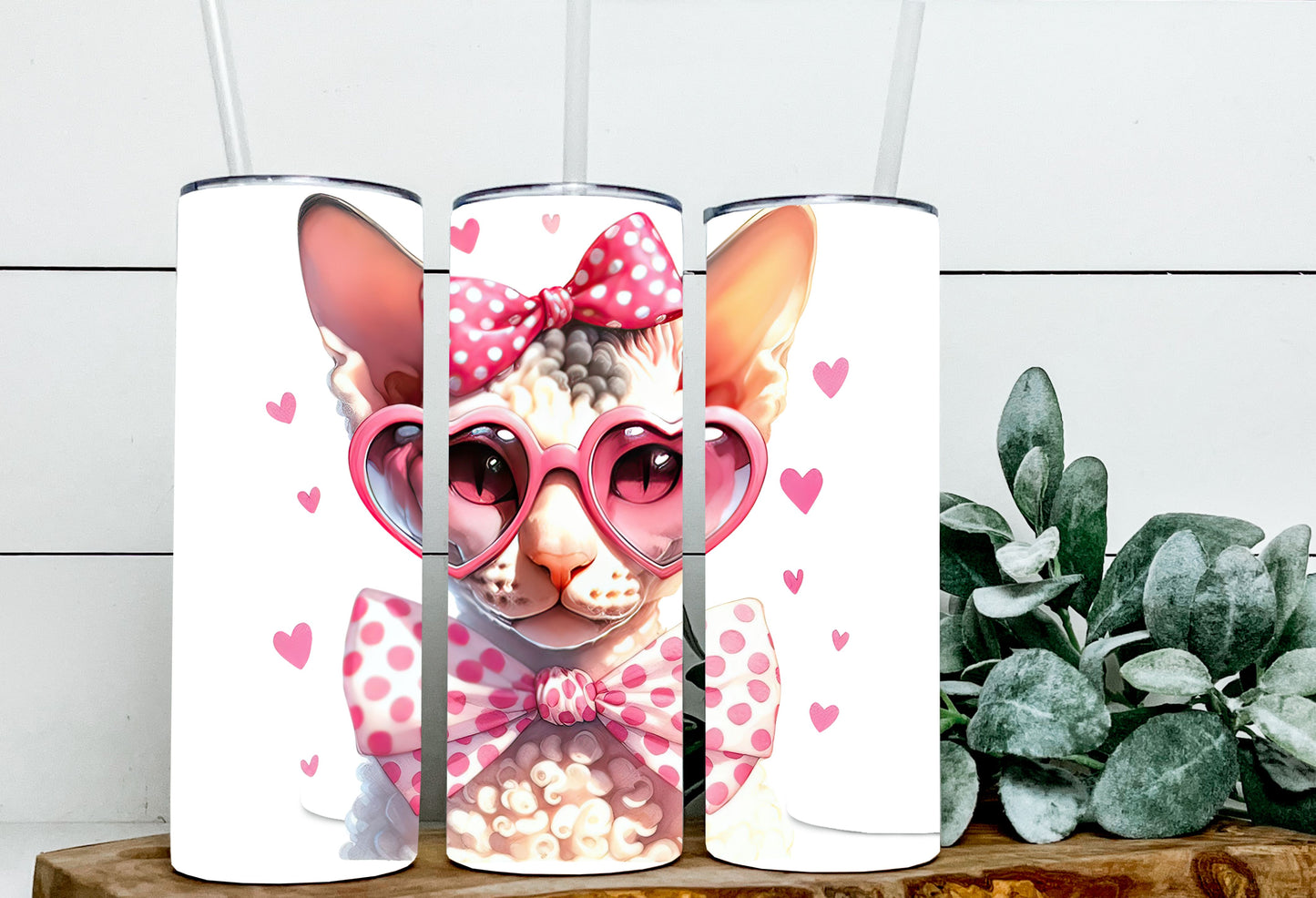 Valentine Cats