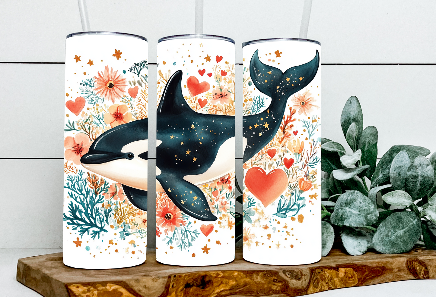 Willy the Orca