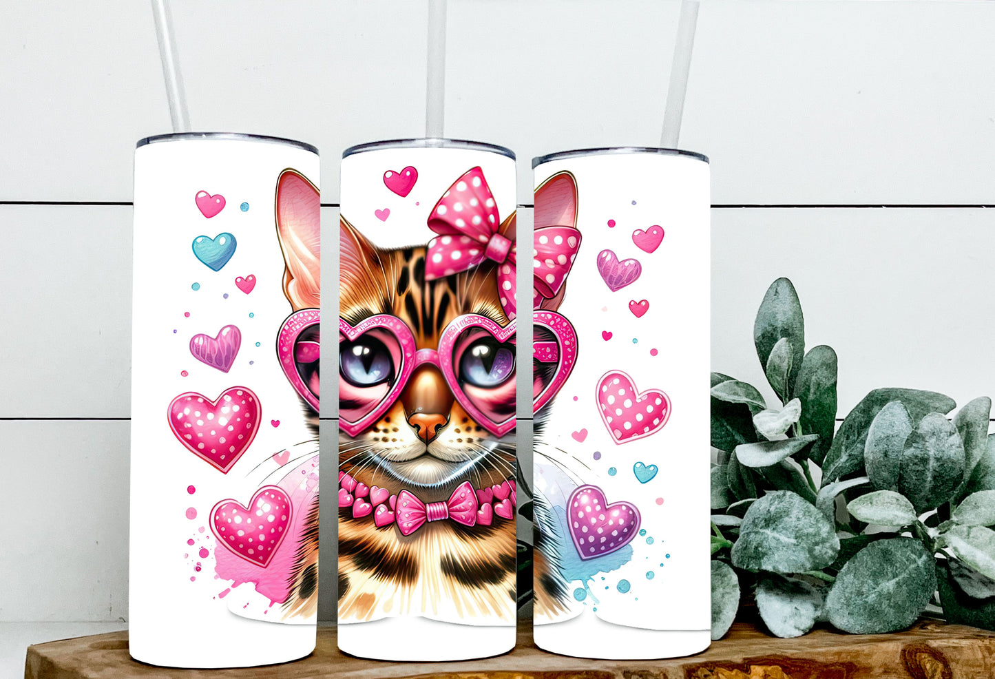 Valentine Cats