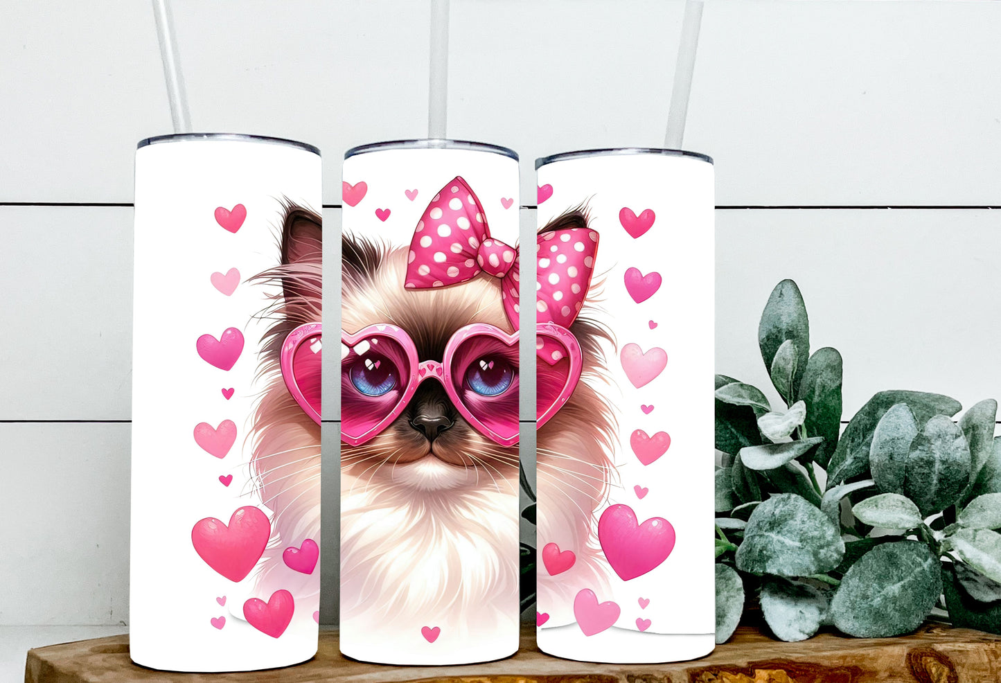 Valentine Cats