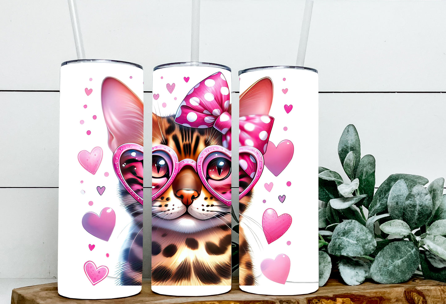 Valentine Cats
