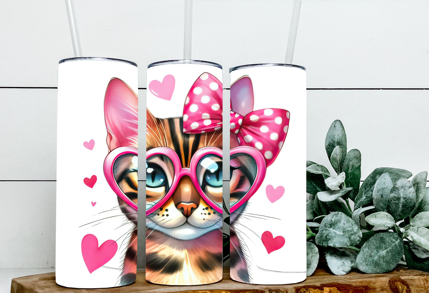 Valentine Cats