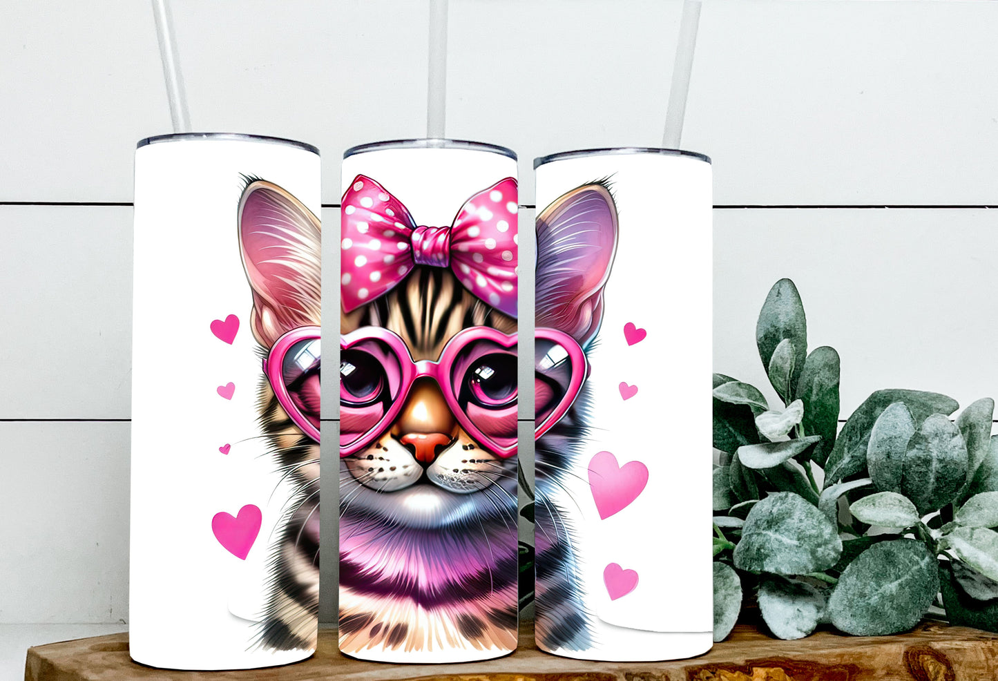 Valentine Cats