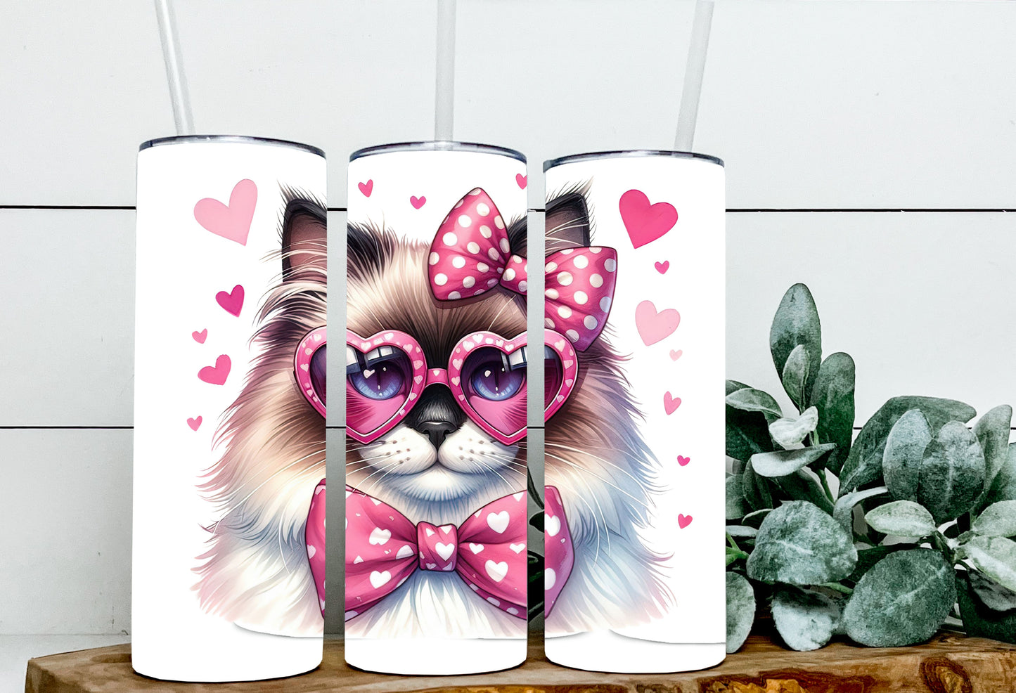 Valentine Cats
