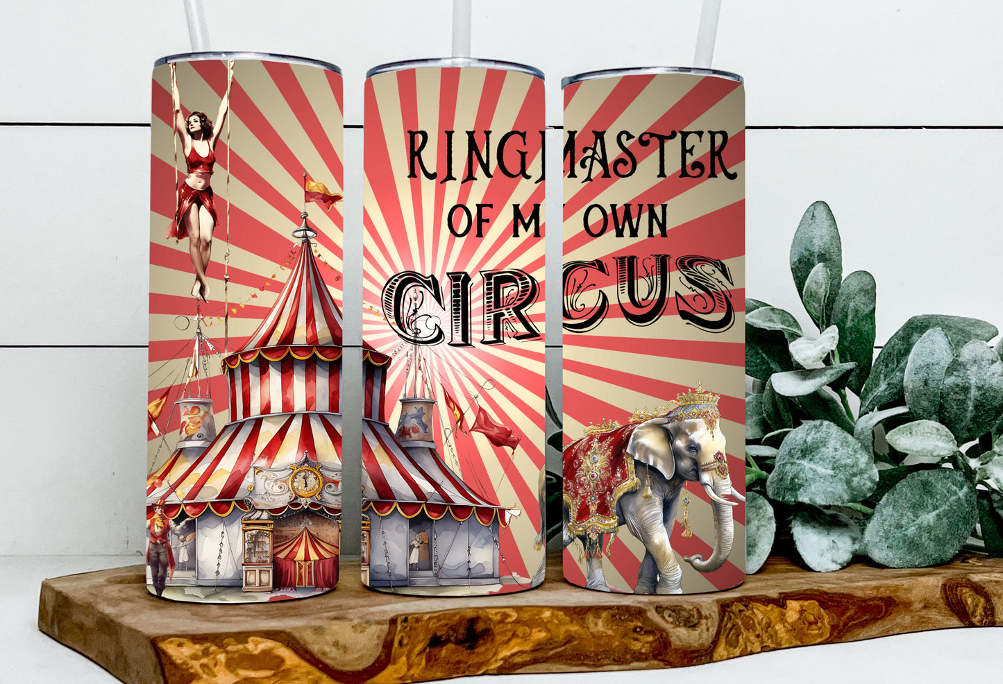 Ring Master of My Own Circus