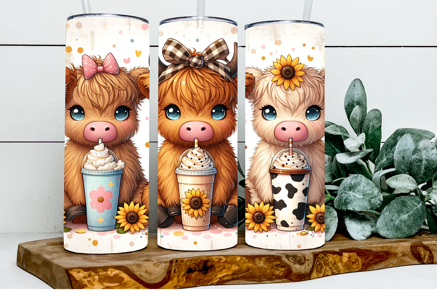 Cordelia, Charlotte and Collette the Drinks Highlands