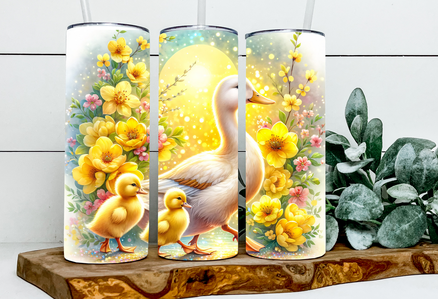 Gabby, Dillard and Tulip the Mama and baby Ducks