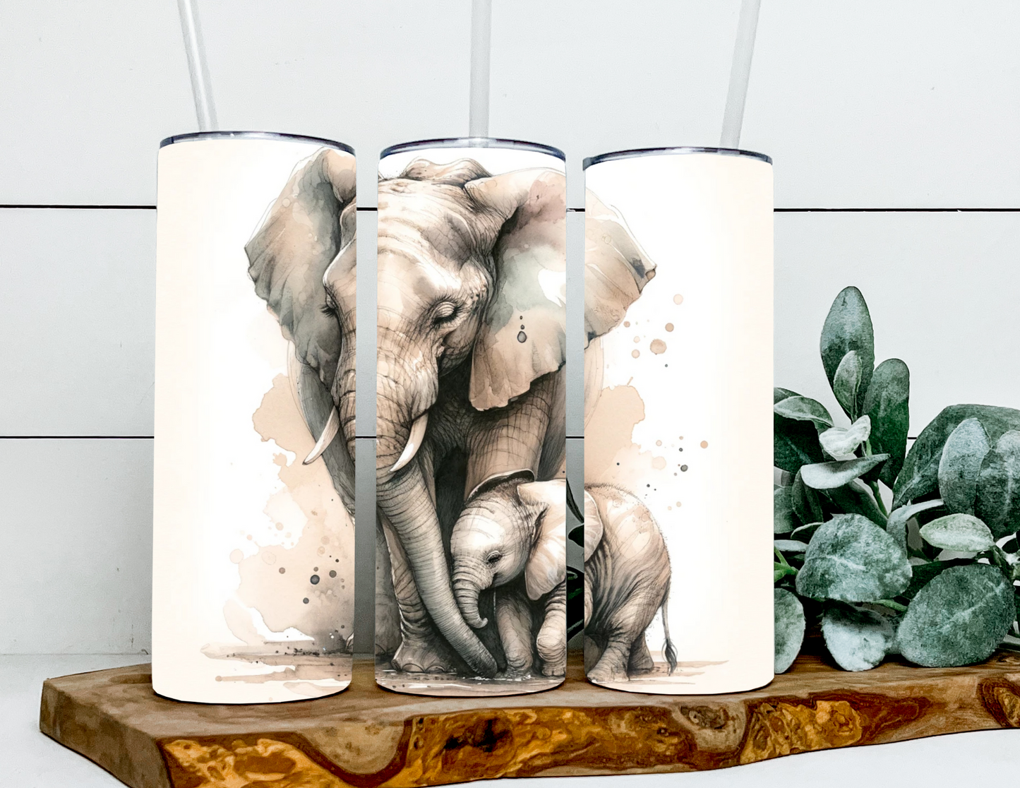 Ginger & Jane the Elephants