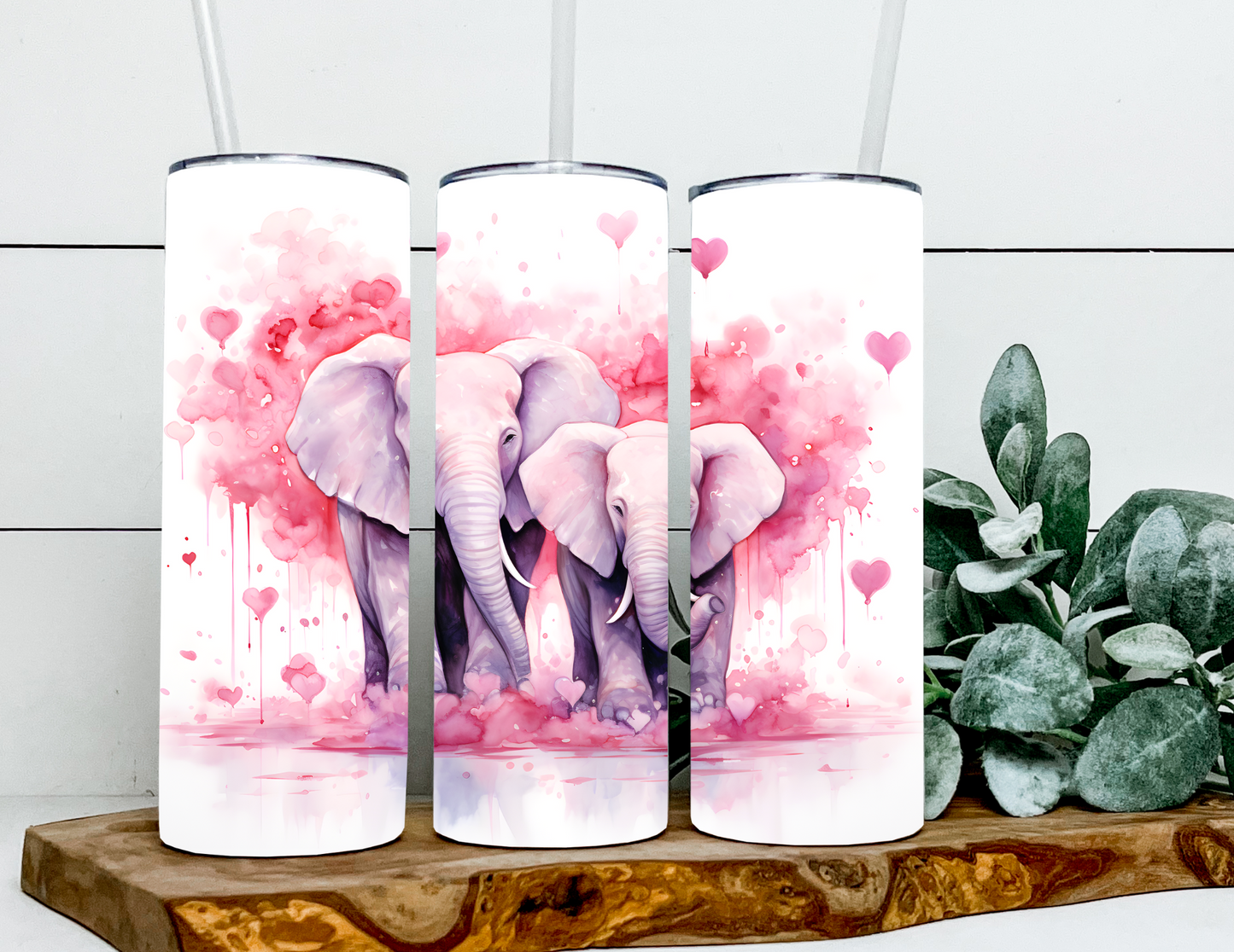 Sadie & Sally the Elephants