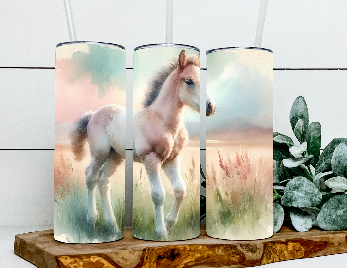 Homer the Baby Foal