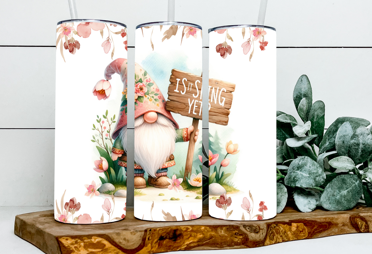 Eldon the Is Spring Yet Gnome