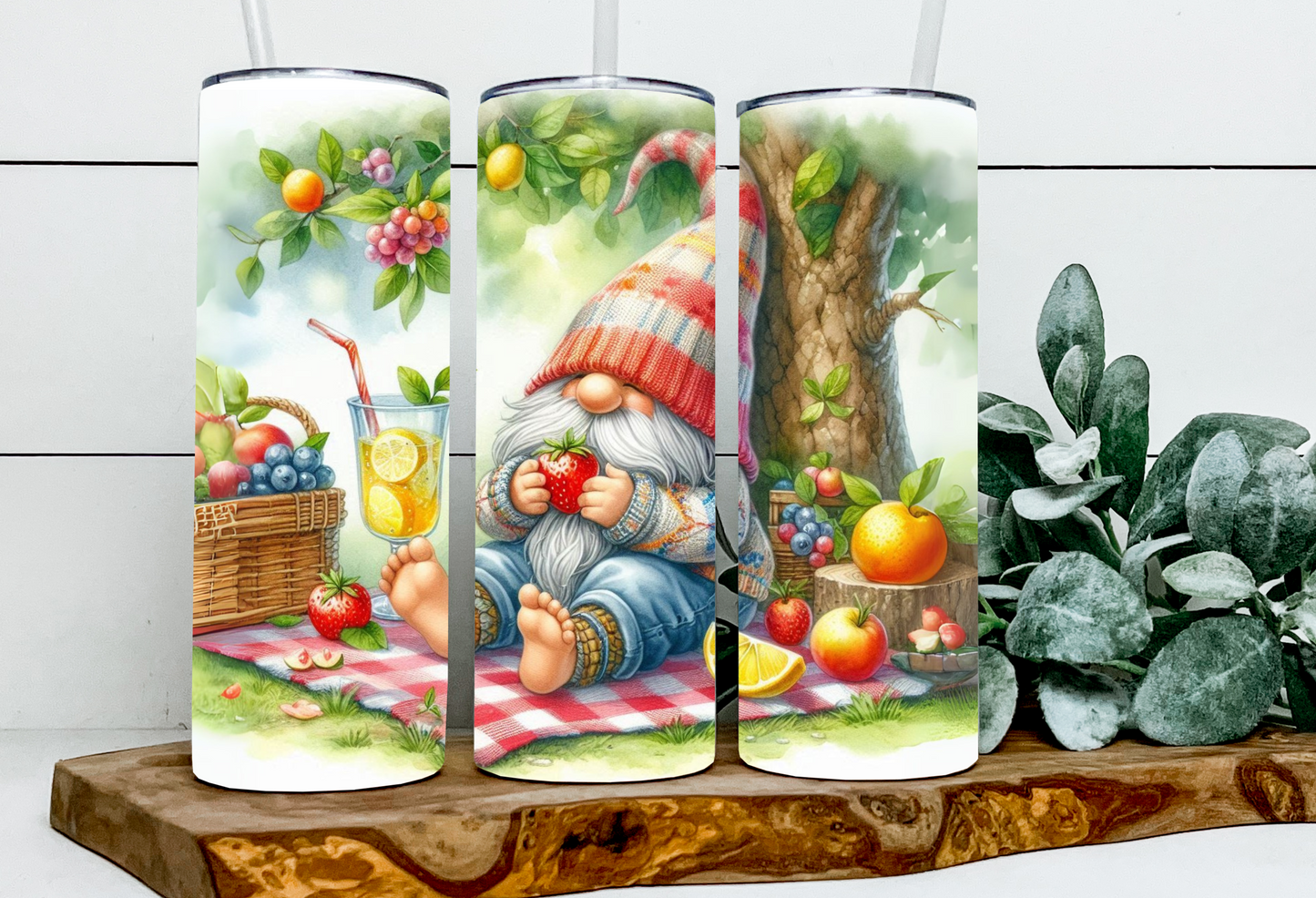 Quinten the Picnic Gnome