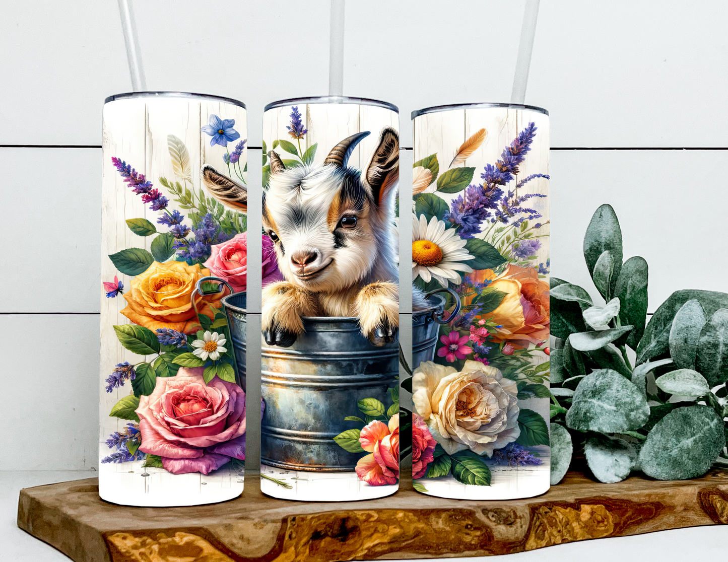 Candie the Goat