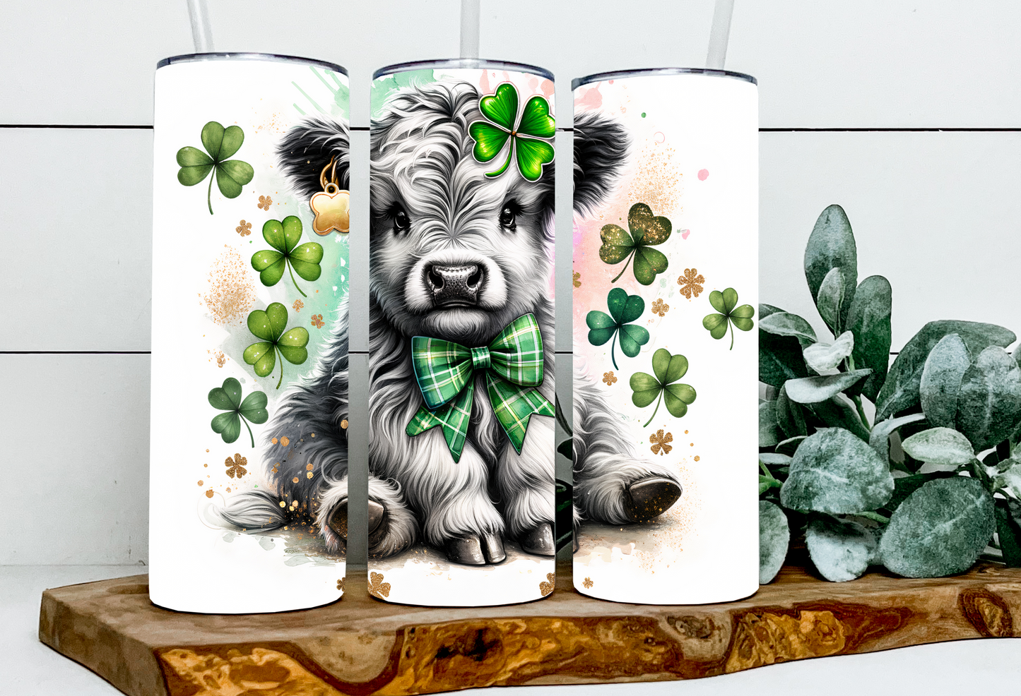 Clover the St. Patricks Highland