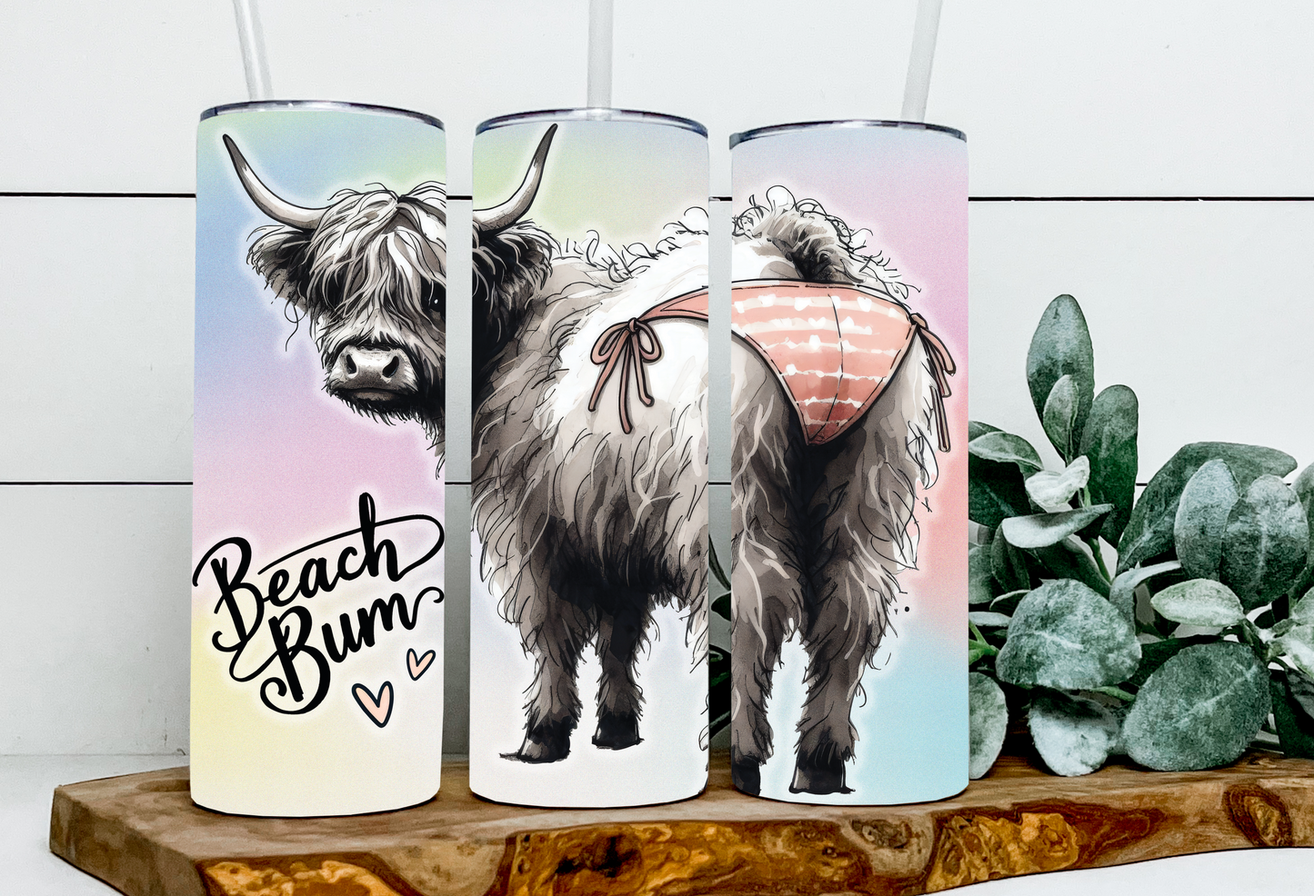 Franny the Highland Beach Bum