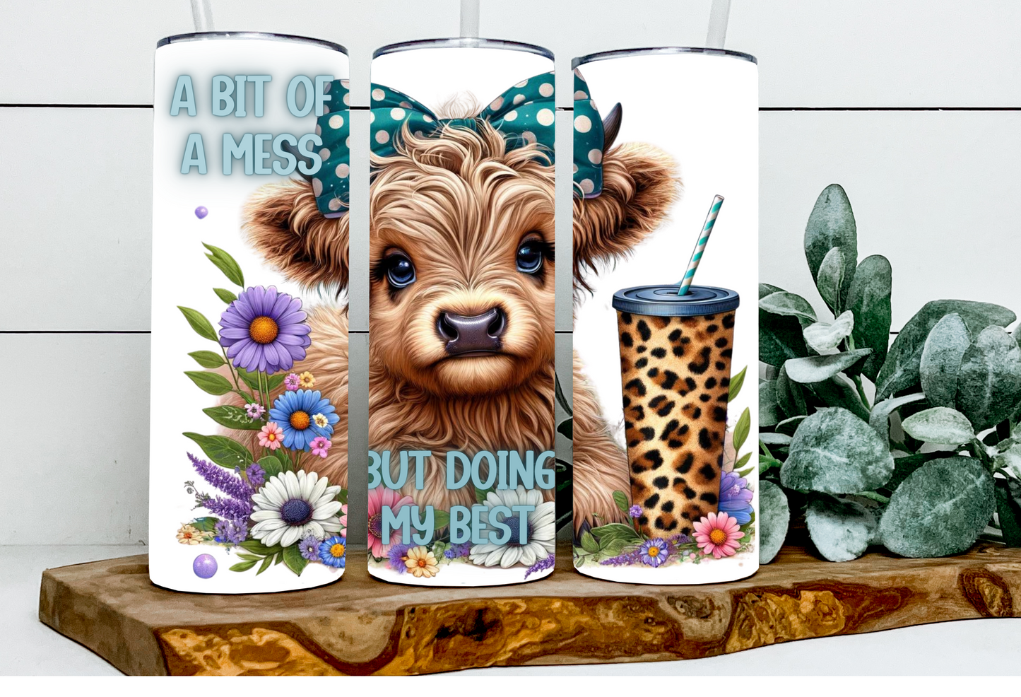 Kassidy the Bit of A Mess but Doing My Best Highland