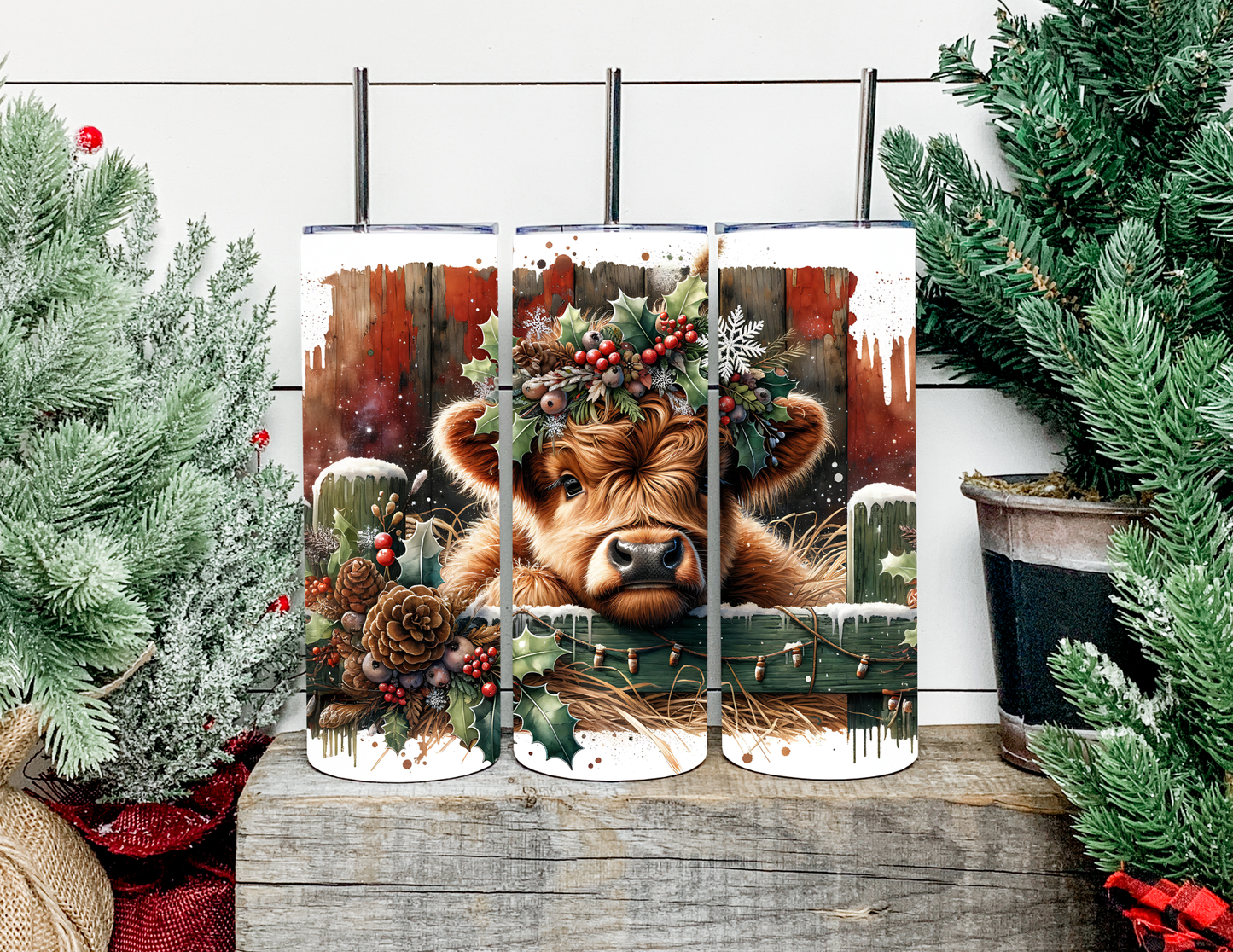 Conner The Christmas Highland