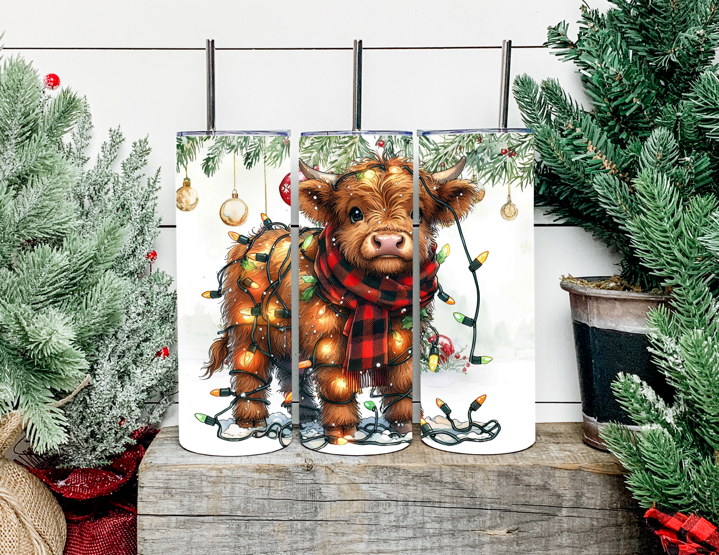 Harley The Christmas Lights Highland