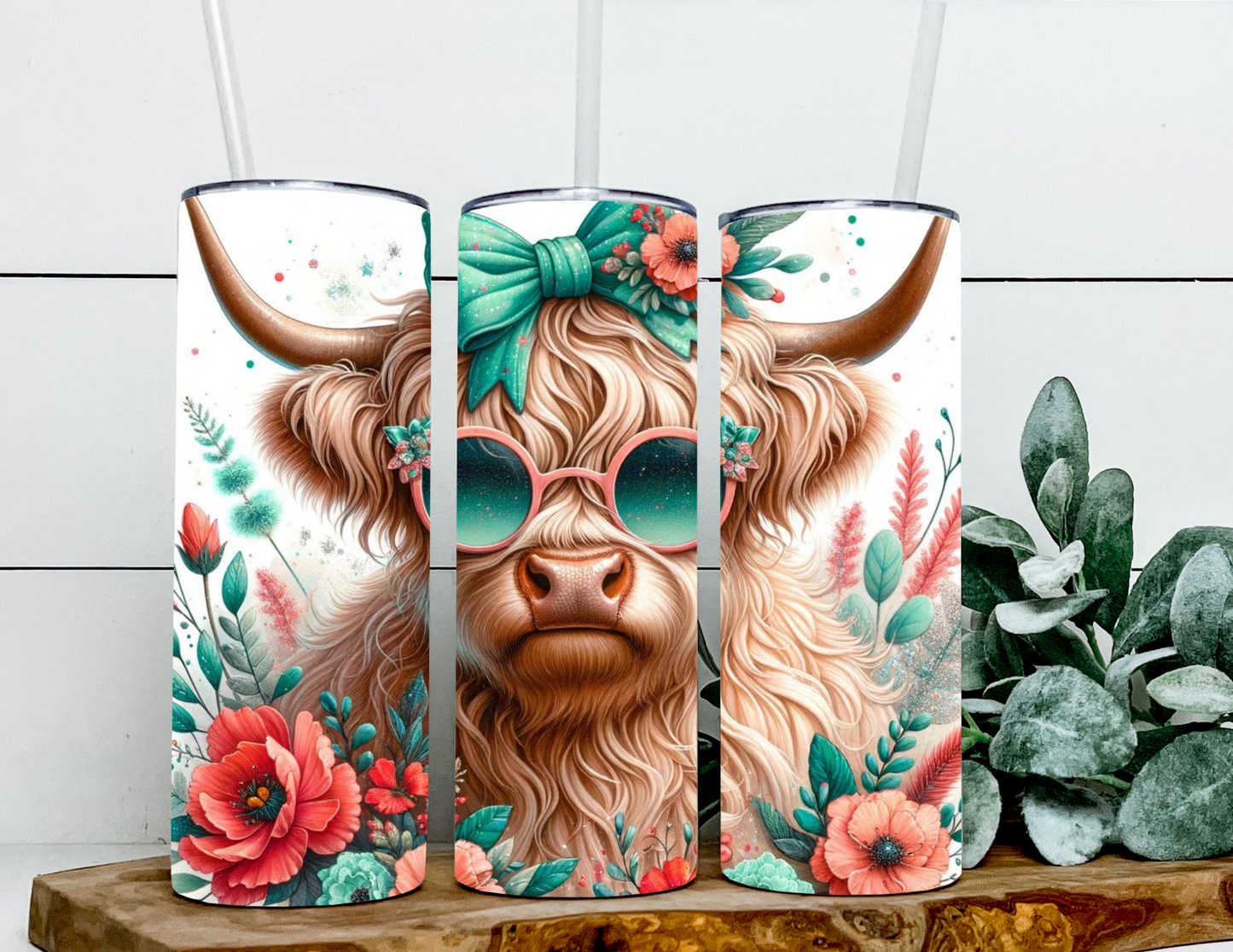 Hannah the Spring Highland