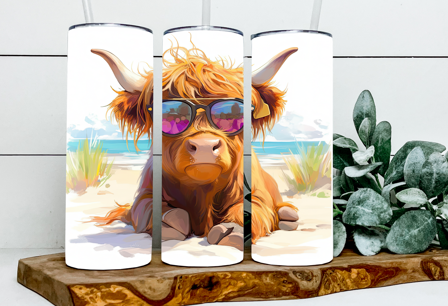 Harlene the Beach Highland