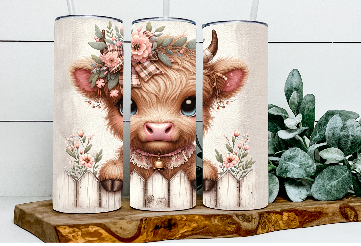 Yvette the Fence Highland