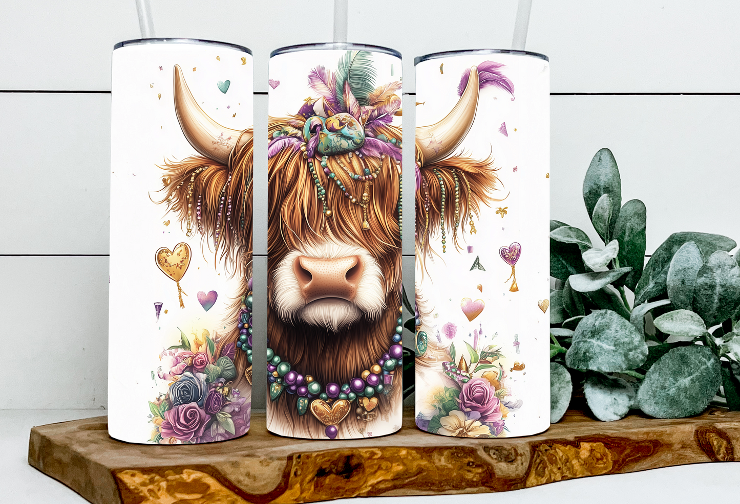 Harmony the Mardi Gras Highland