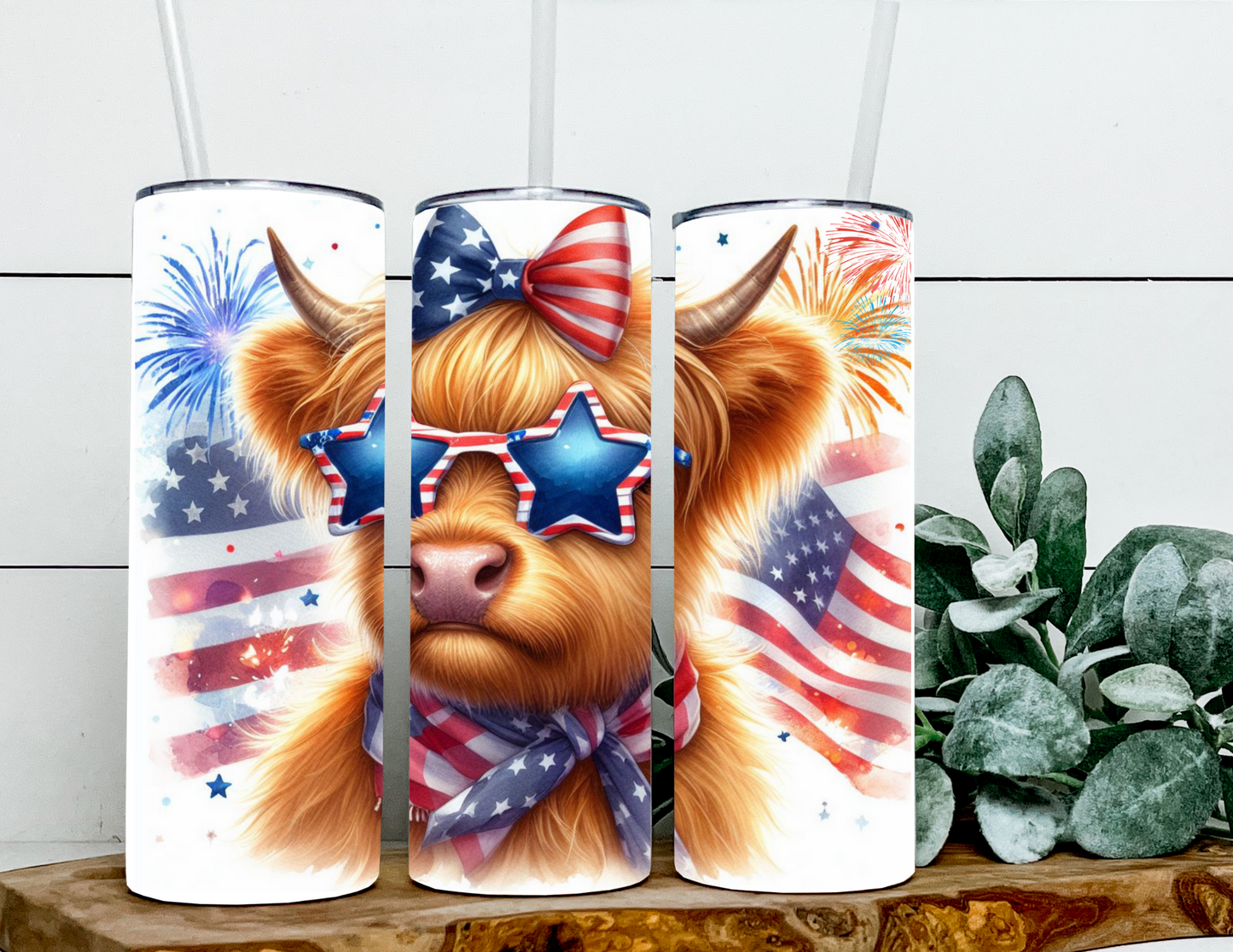 Paige the Ameican Beauty Highland