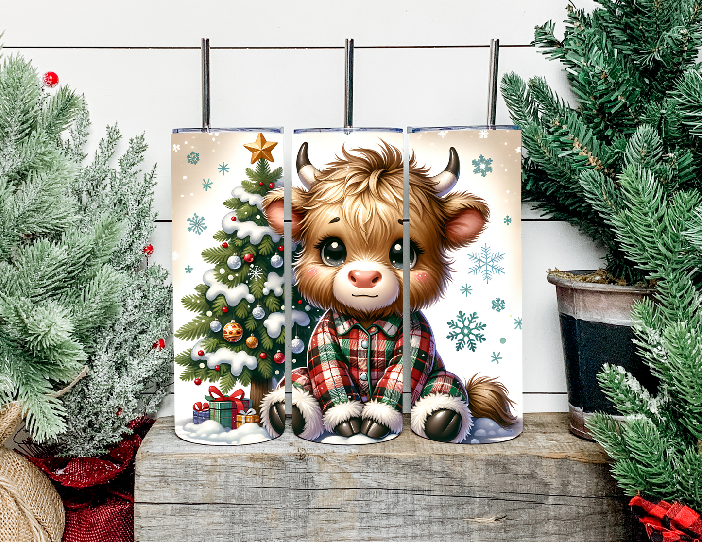 Mae The Plaid Highland