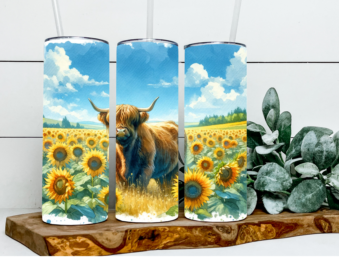 Duncan Sunflower Sky