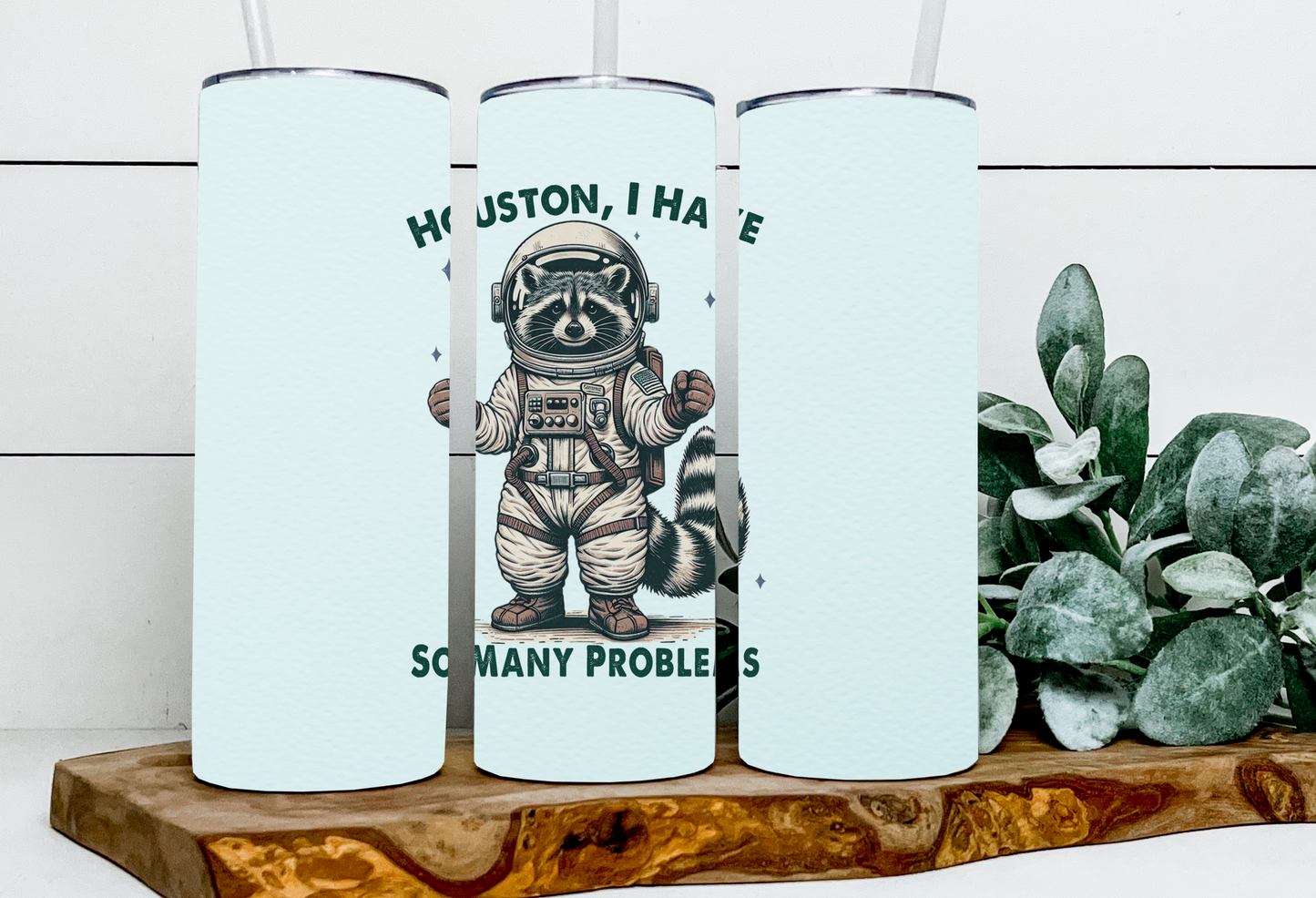 Houston I Have So Many Problems Raccoon