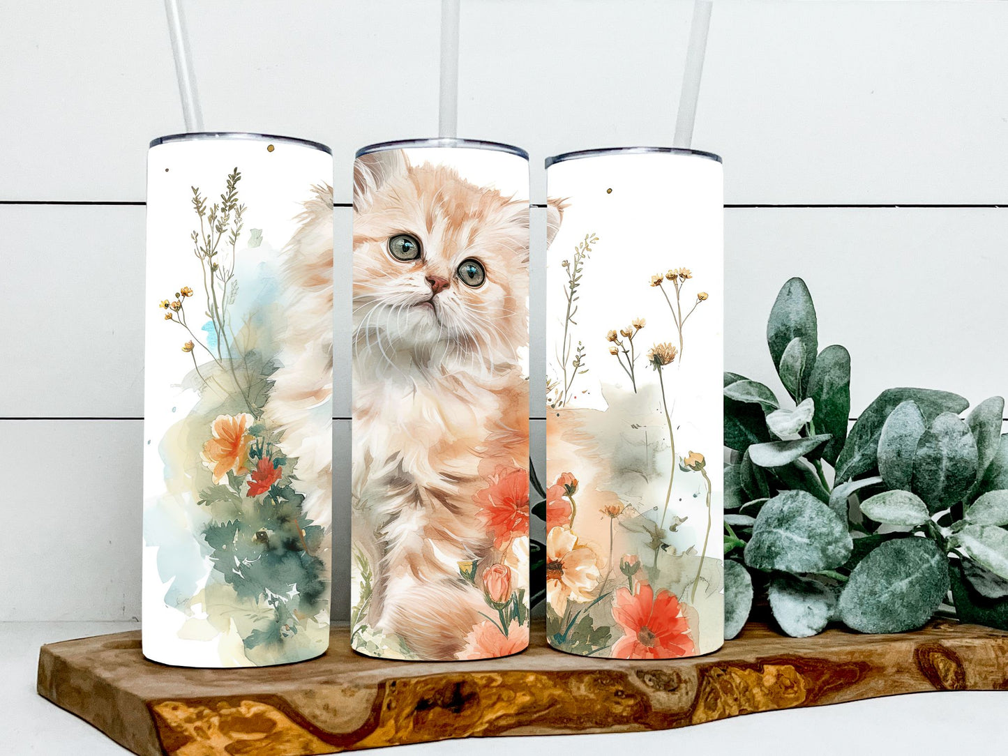 Persian Cats