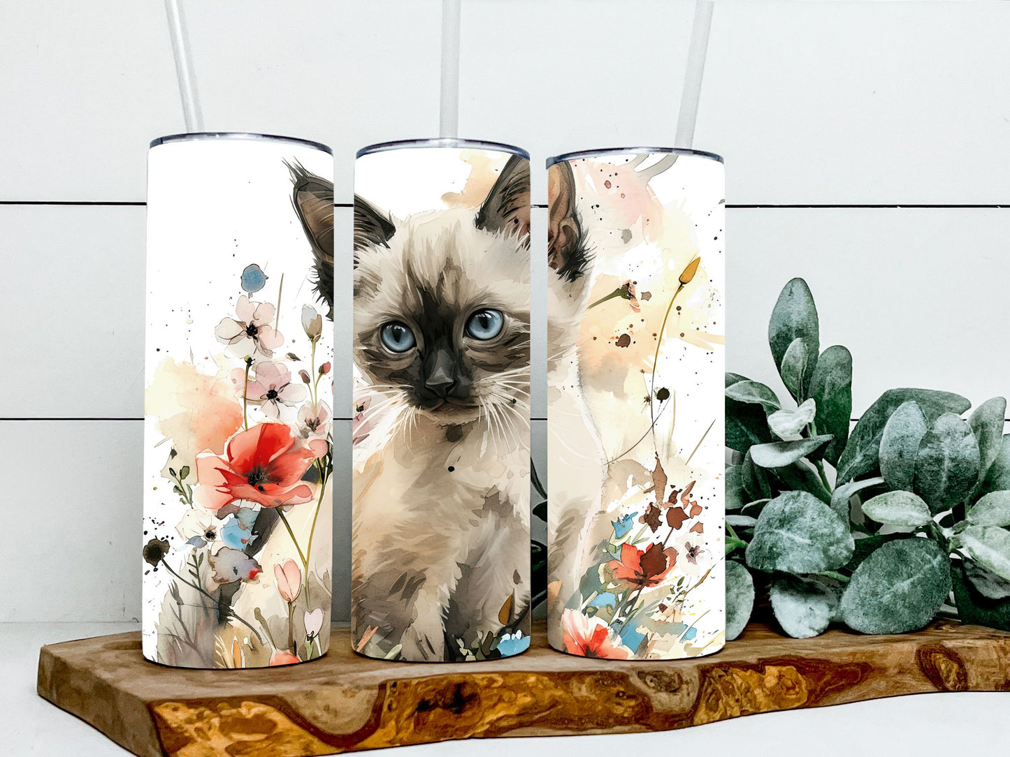 Siamese Cat