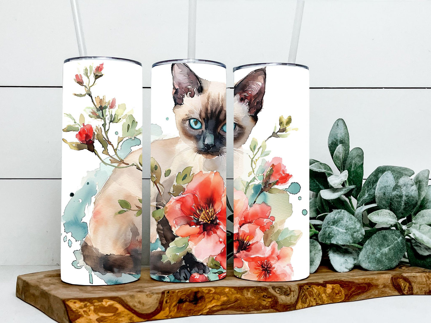 Siamese Cat