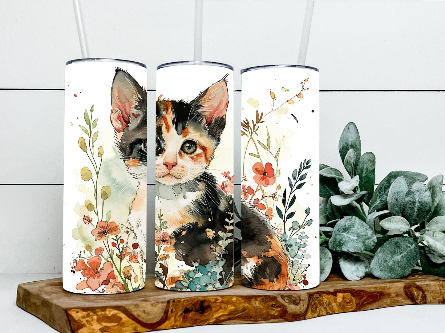 Calico Cat