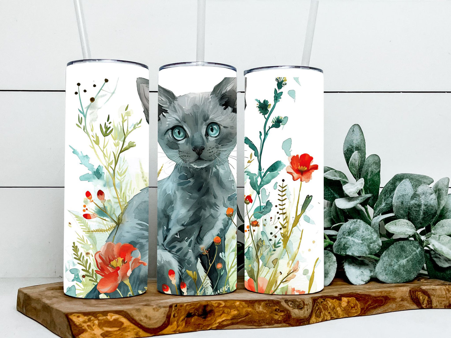 Russian Blue