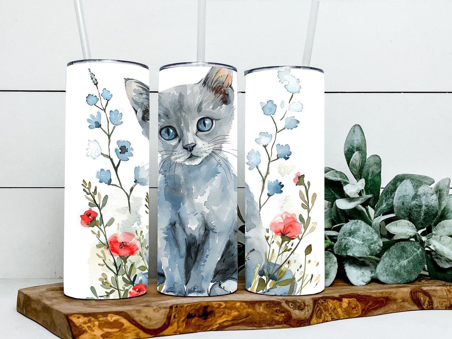 Russian Blue