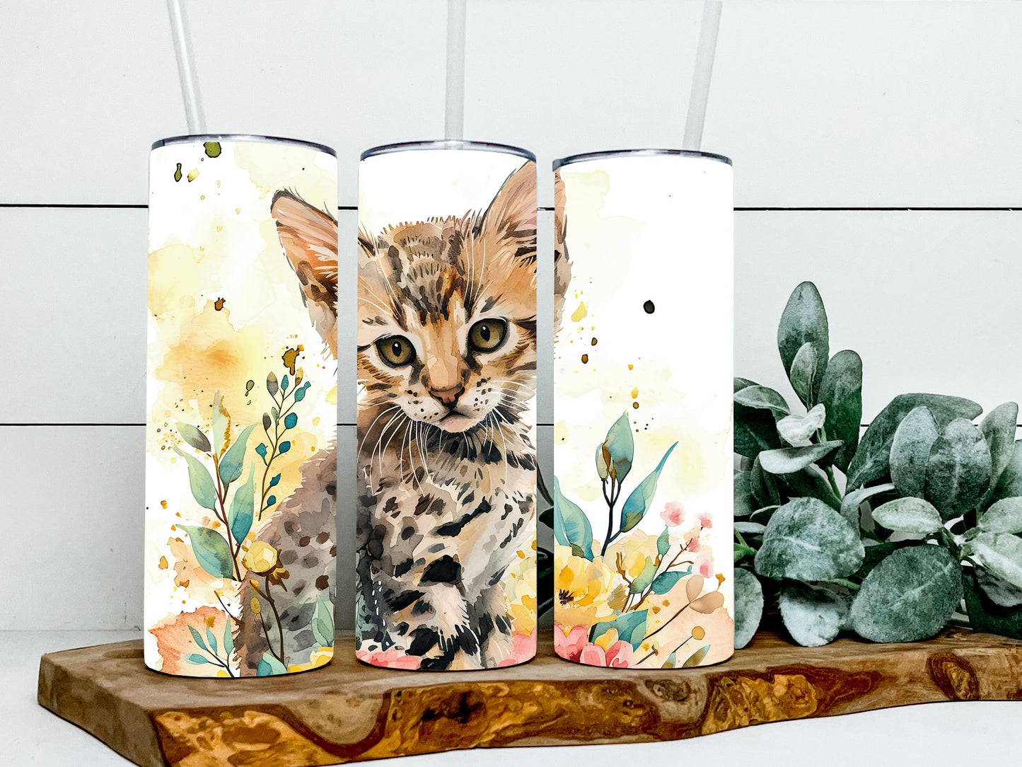 Savannah Cat