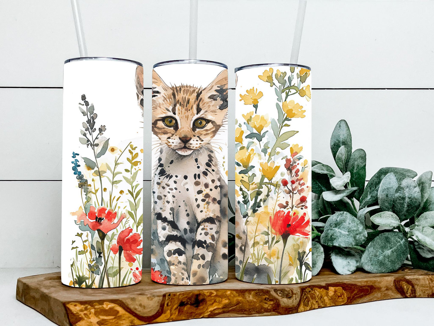 Savannah Cat