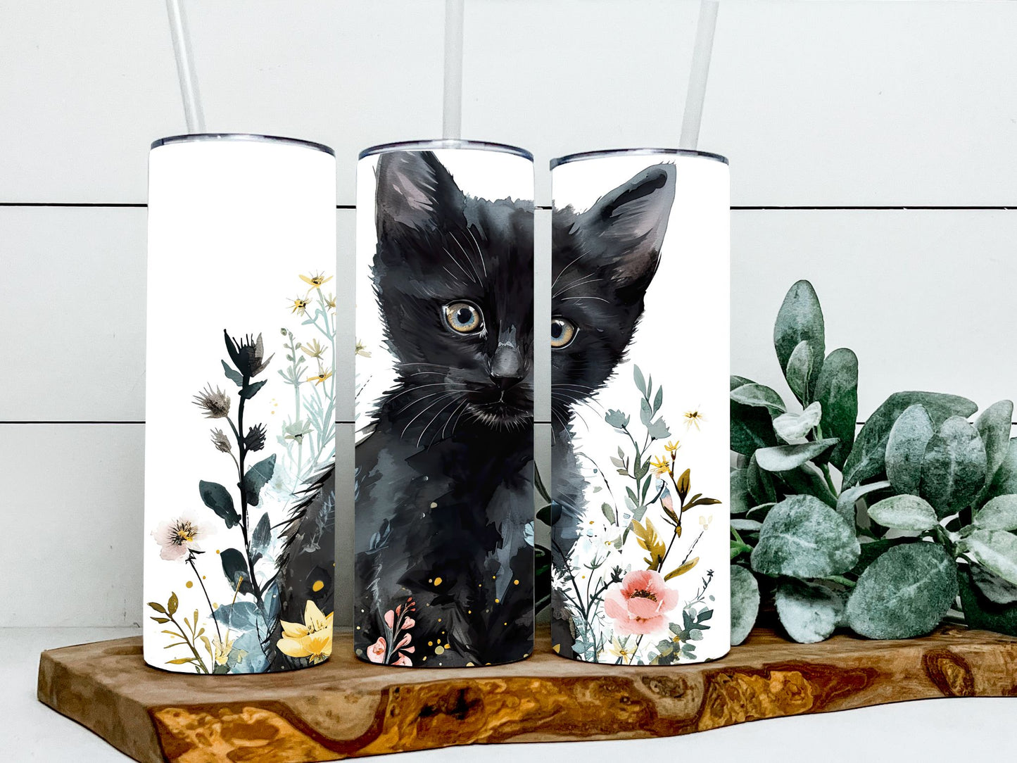 Black Cat