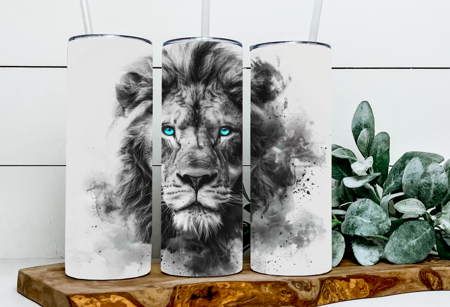Lionel the Blue Eyed Lion